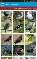 Asian Birds Sounds Free