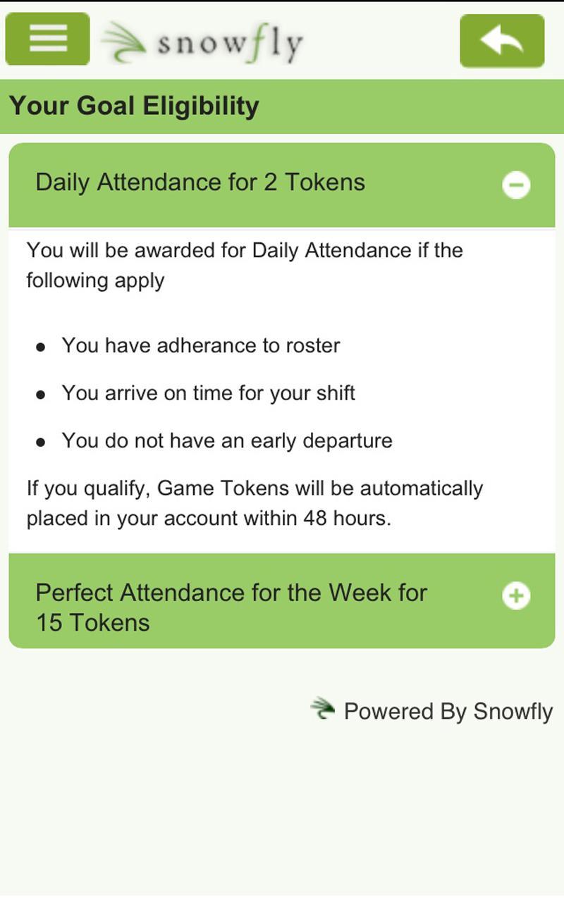Snowfly Incentives