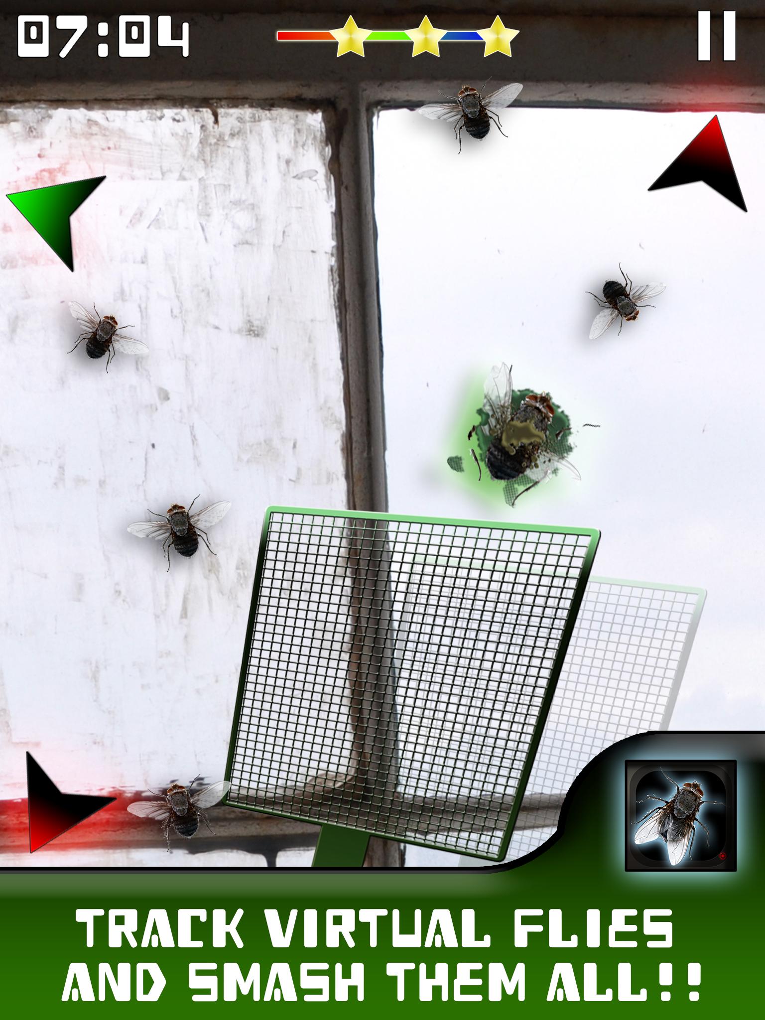 Where's that Fly?