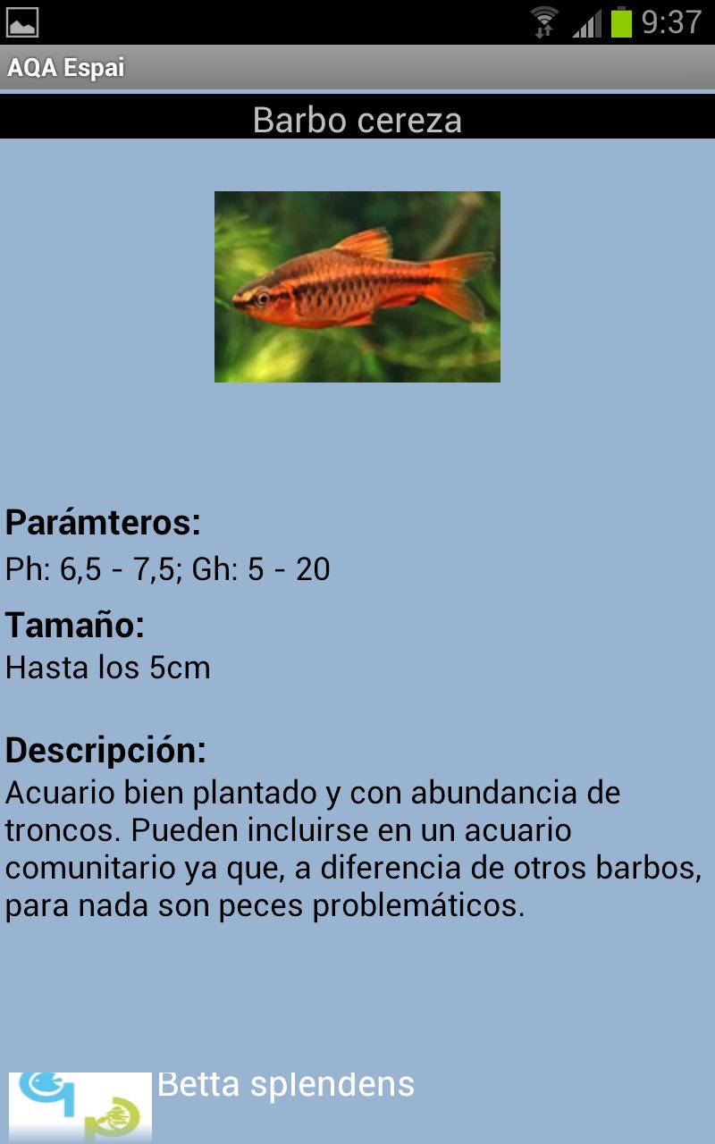 AQA Espai