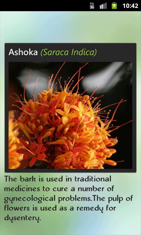 Ayurveda Secrets