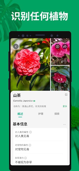 PictureThis - Plant Identifier