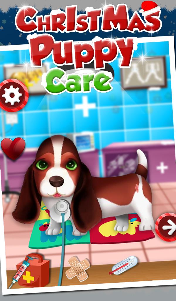 Christmas Puppy Care