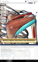 Muscle Premium for Springer