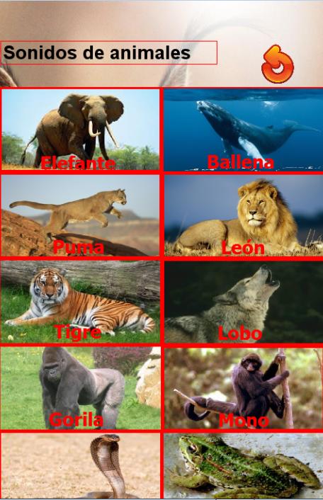 Sonidos de Animales