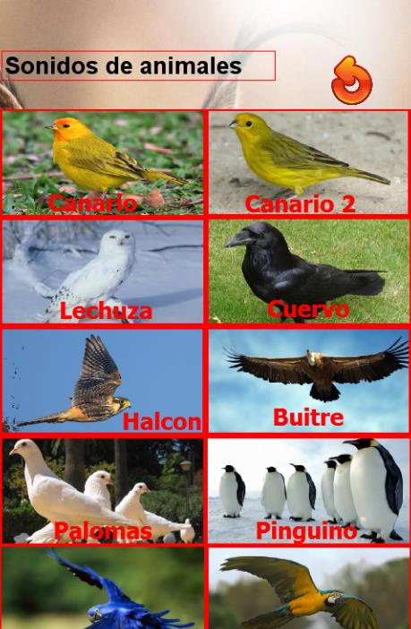 Sonidos de Animales