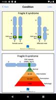 Genetics 4 Medics