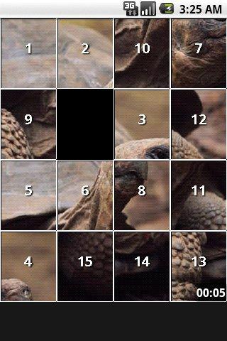 Turtle Puzzles