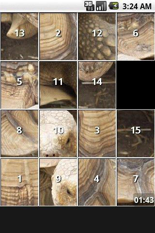 Turtle Puzzles