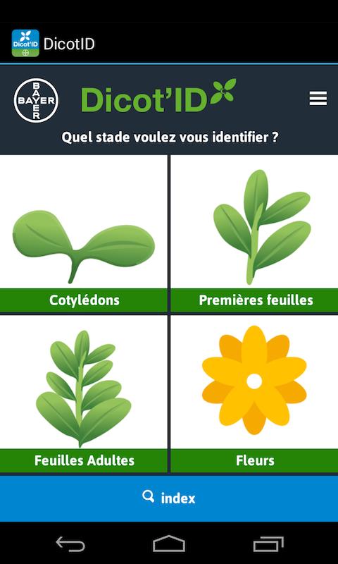 Bayer Dicot'ID