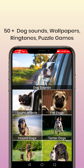 50 Dog sounds