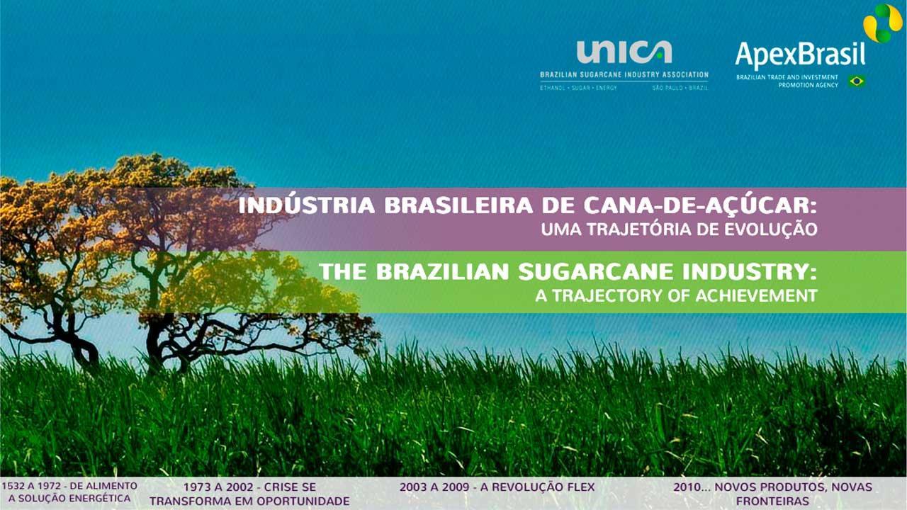 Cane Timeline