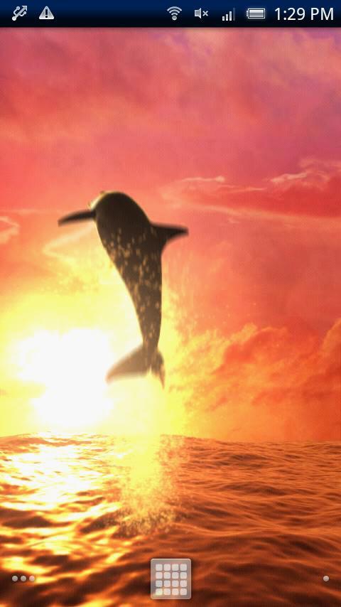 Sunrise Ocean Free