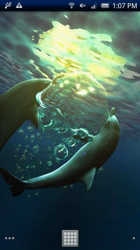 Dolphin Moonlight Trial