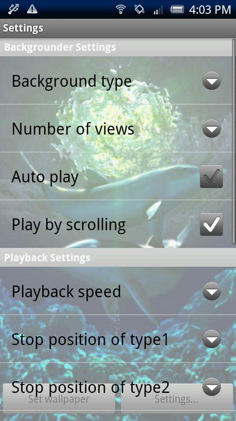 Dolphin Moonlight Trial