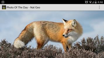 Photo of the Day - Nat Geo