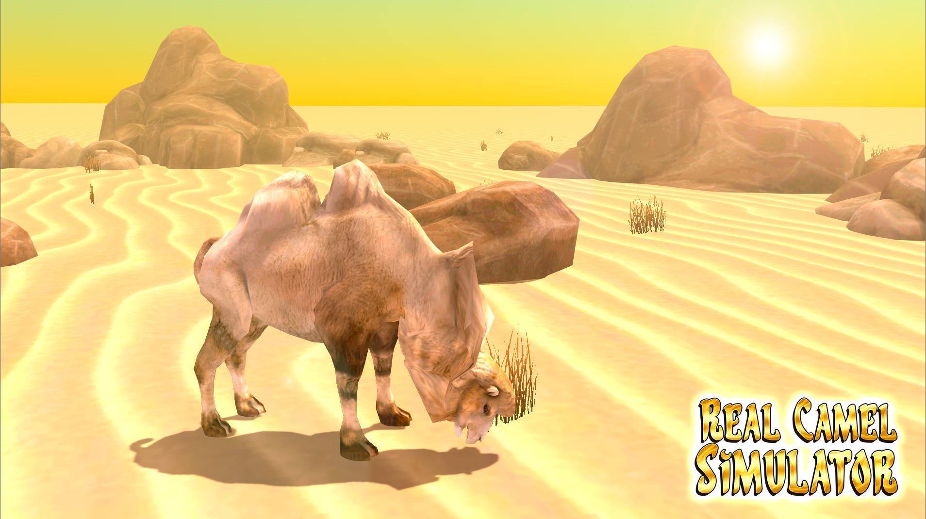 Real Camel Simulator