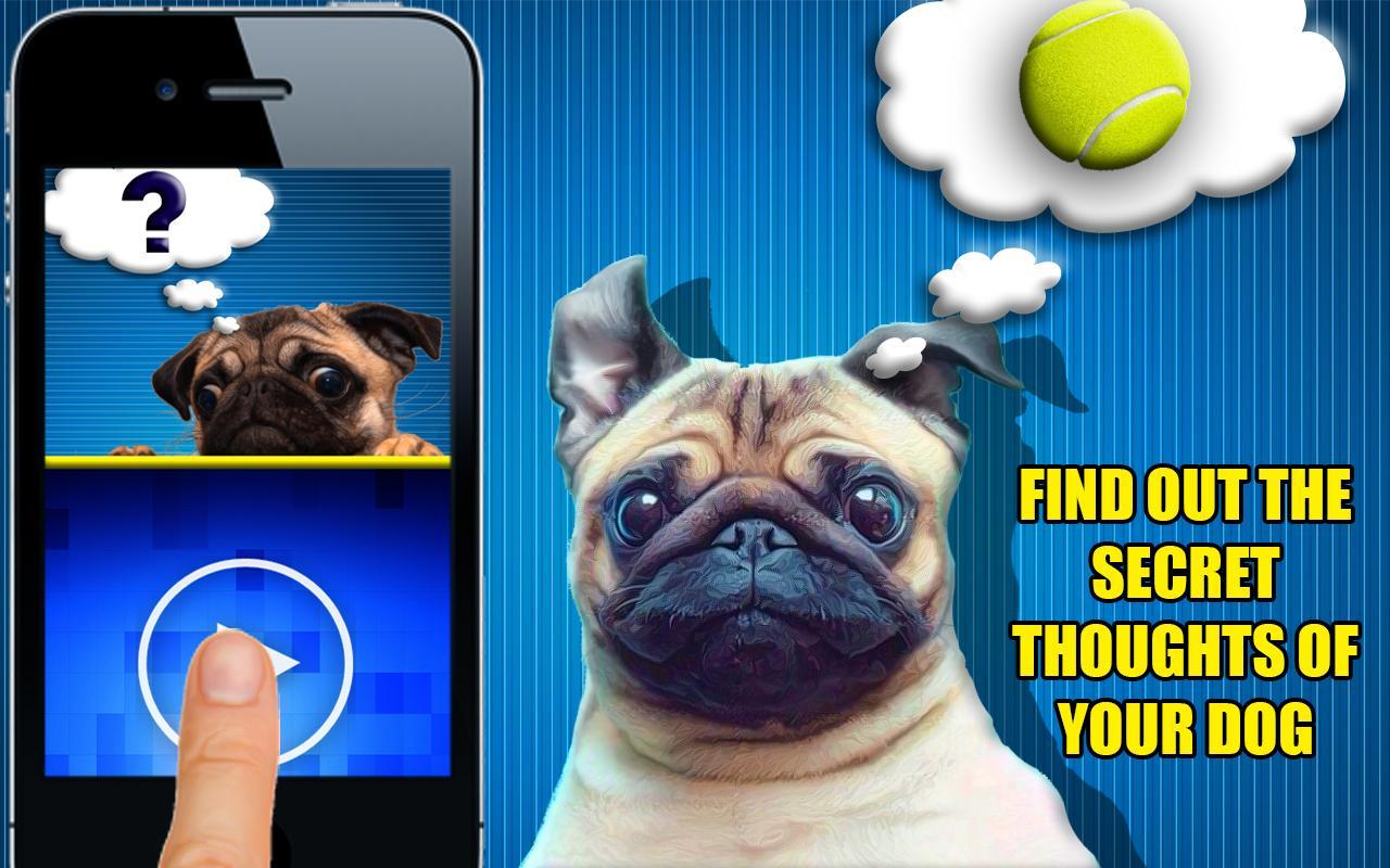 Dog translator: Mind reading