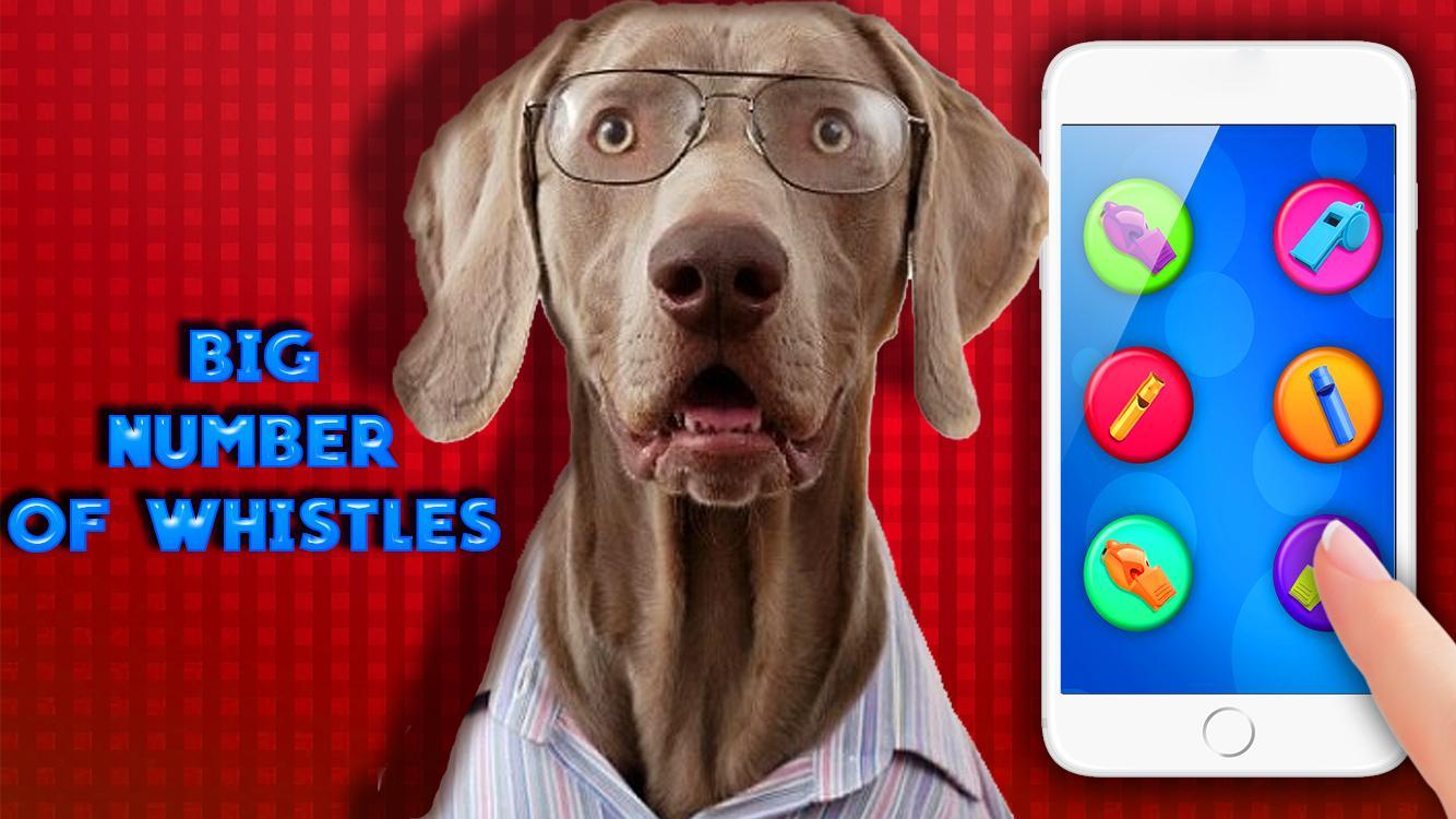 Dog Whistle ultrasonic