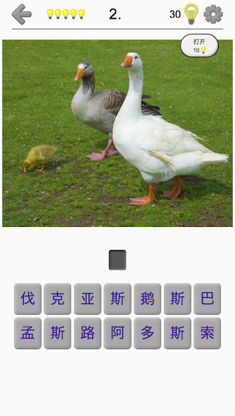 Bird World - Famous Birds Quiz