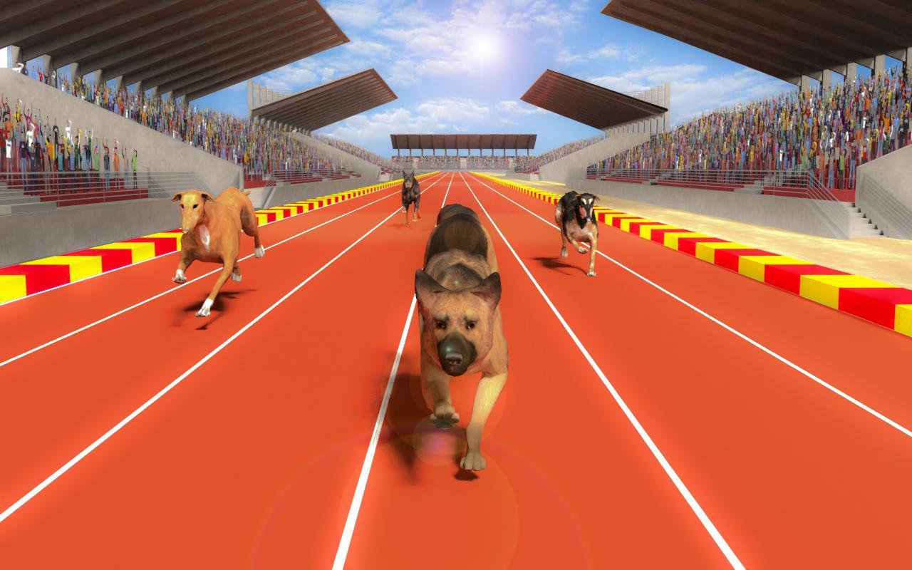 Pet Vet Dog Racing - Dog Run Racing Fever