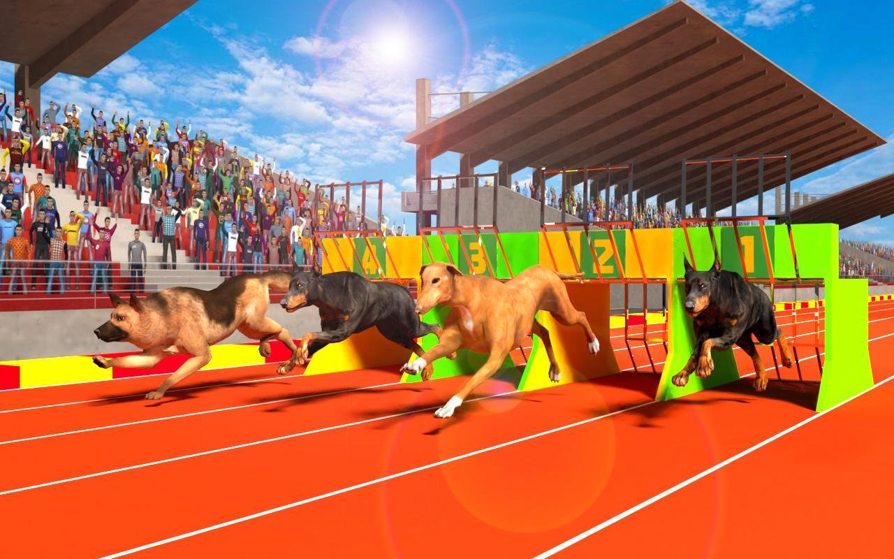 Pet Vet Dog Racing - Dog Run Racing Fever