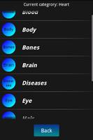 Human Body Facts