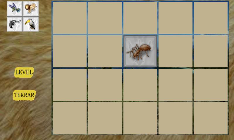 Memory Enhancement Game