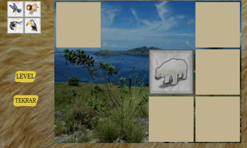 Memory Enhancement Game