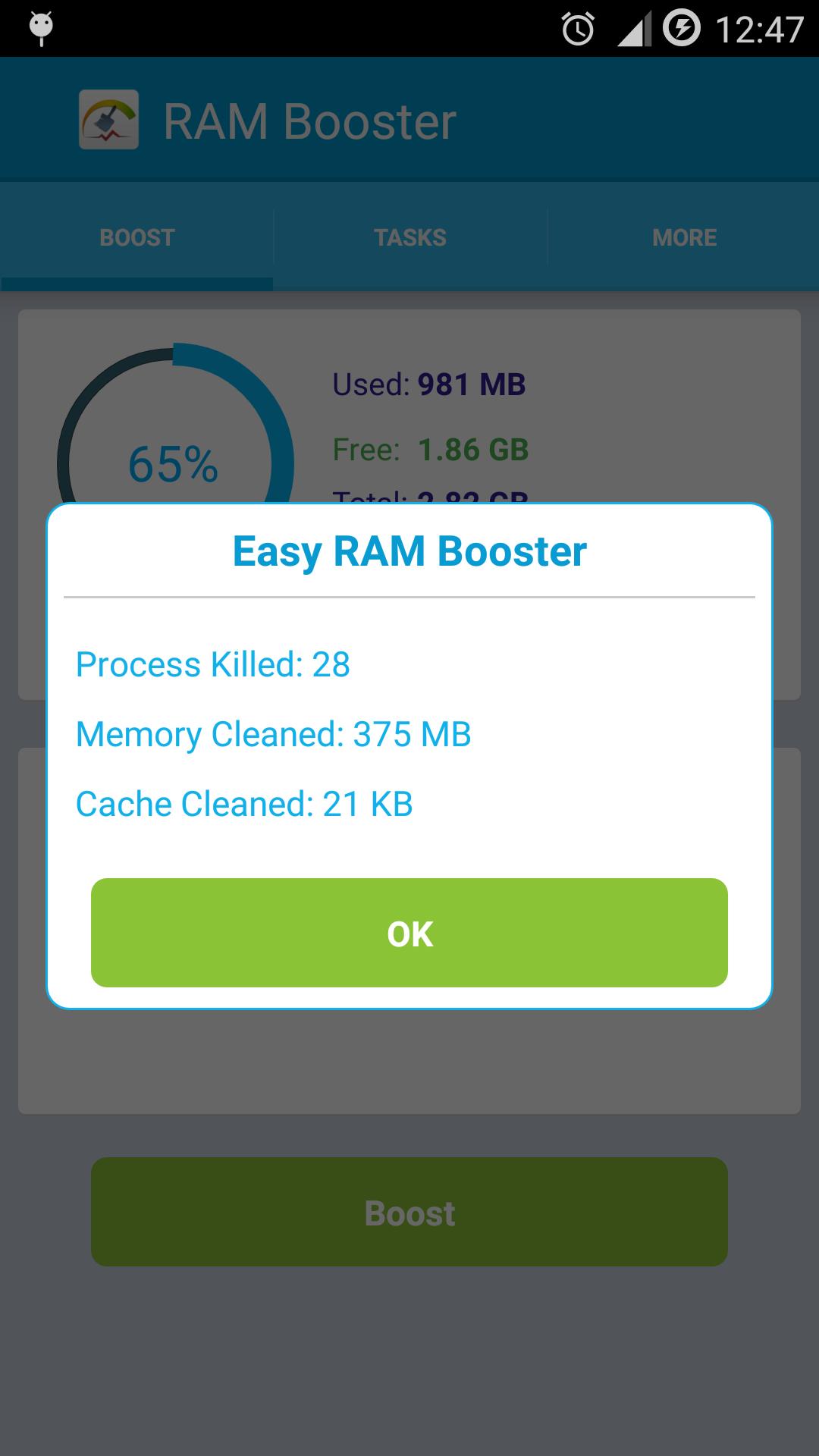 RAM Booster AA