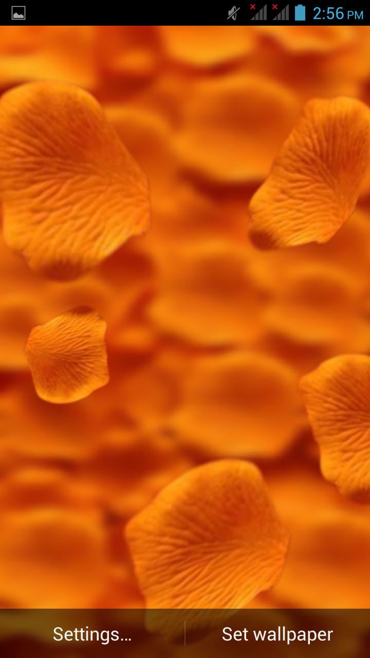 3D Petals live wallpaper