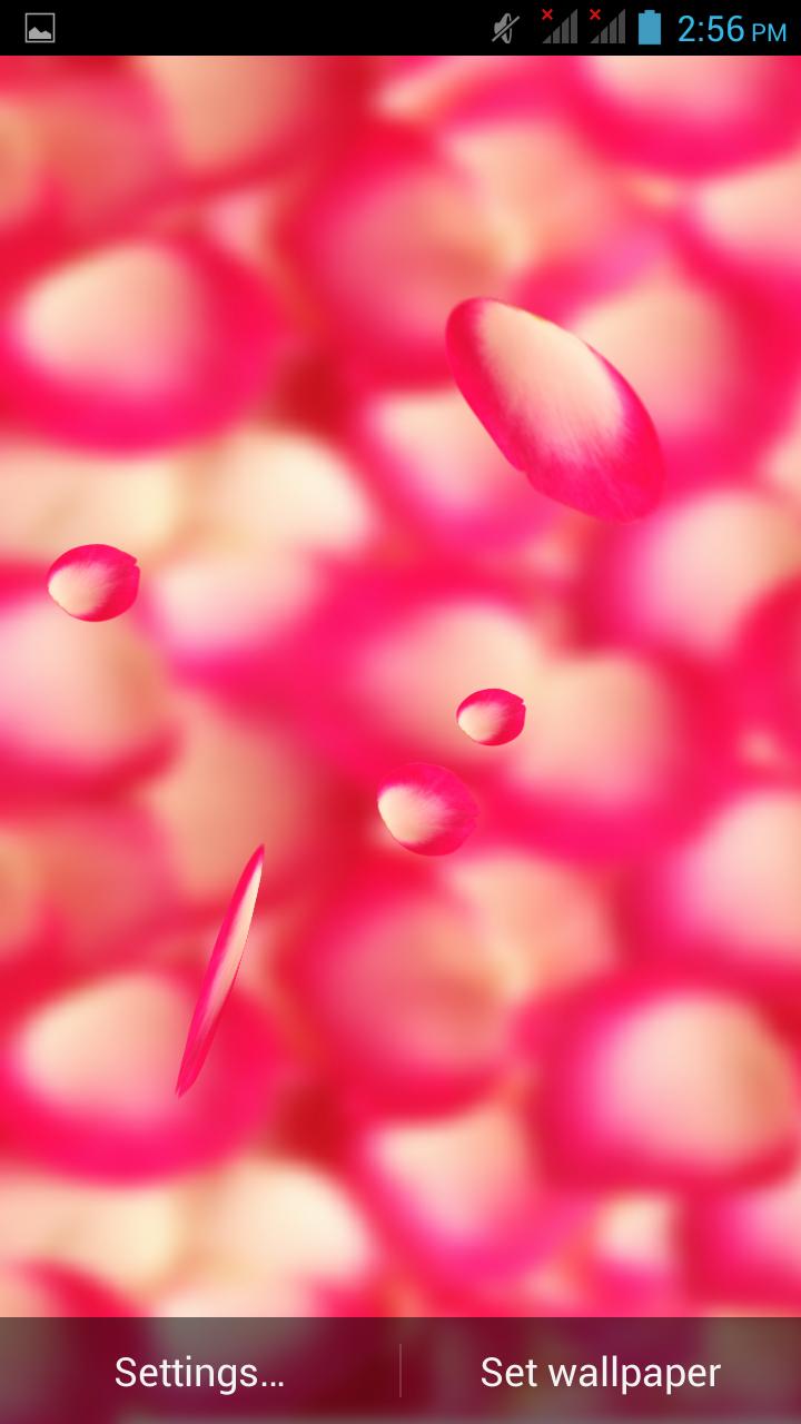 3D Petals live wallpaper