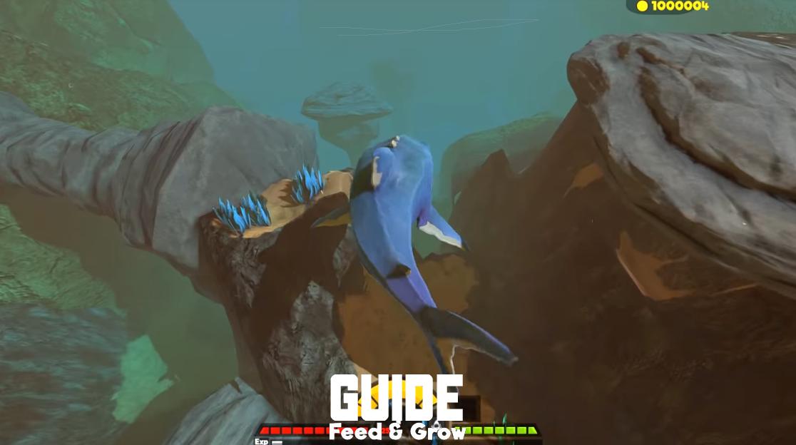 FEED HUNTER: GROW FISH BATTLE