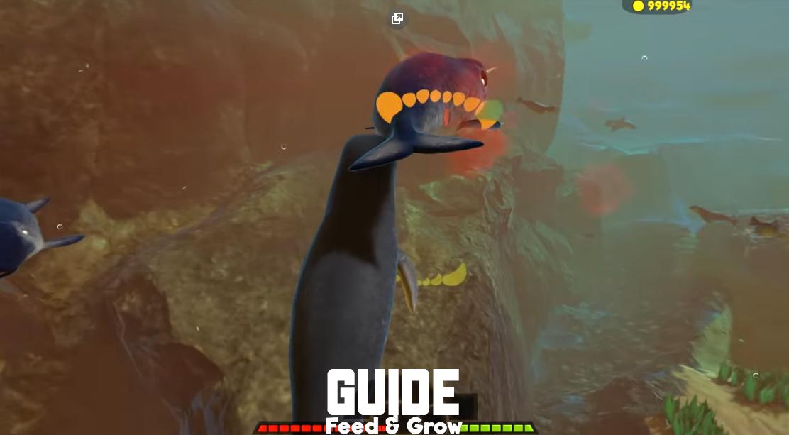 FEED HUNTER: GROW FISH BATTLE