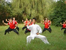 Tai Chi Lessons