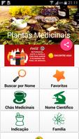 Guia de Plantas Medicinais