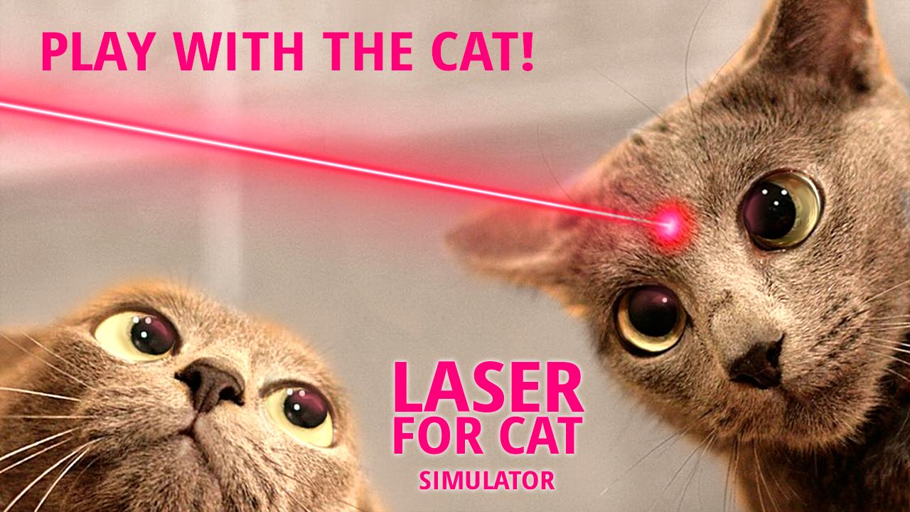 Laser for cat. Simulator