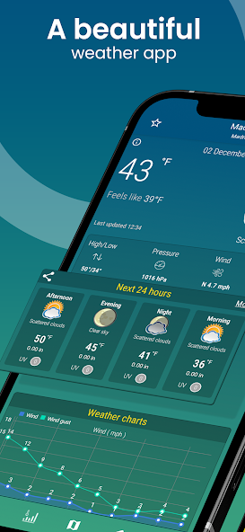 World Weather - Rain Radar