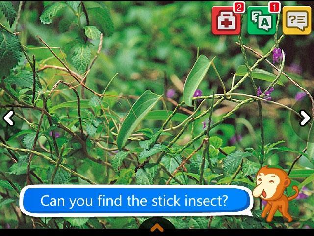 Hide and Seek with Nature