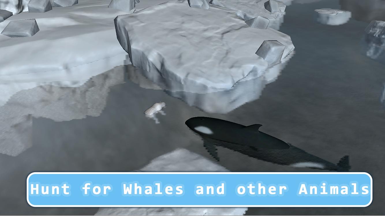 Killer Whale Orca Simulator