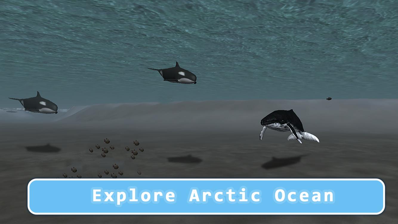 Killer Whale Orca Simulator