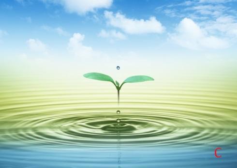 TerraceDrip-Controller