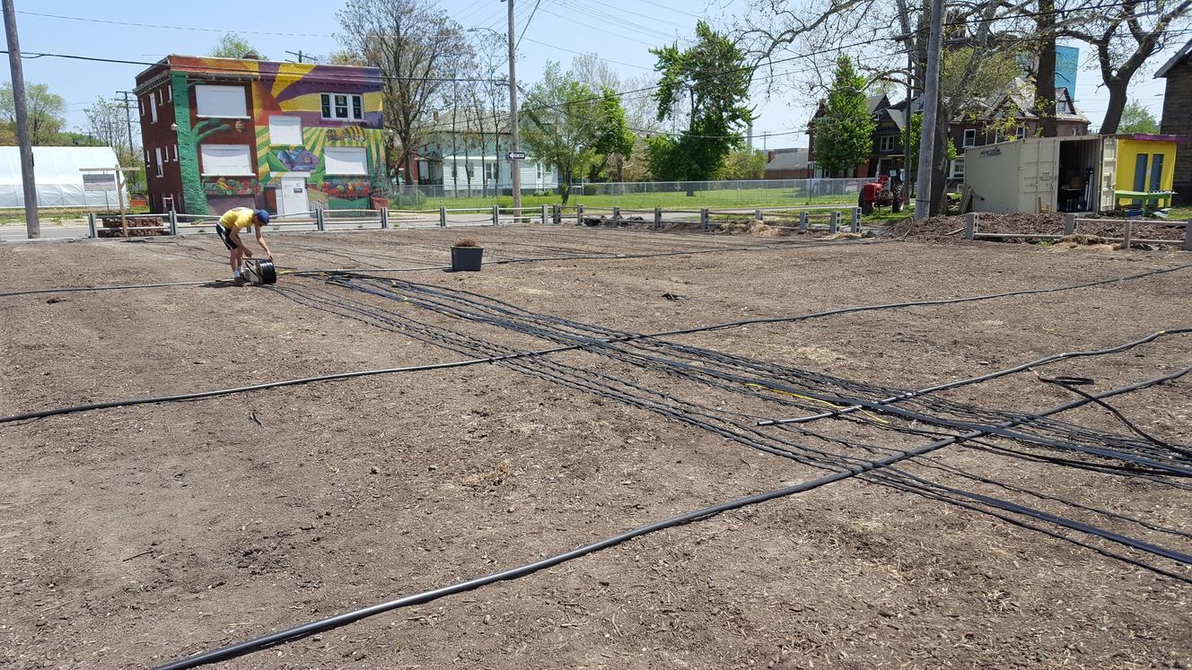 TerraceDrip-Controller