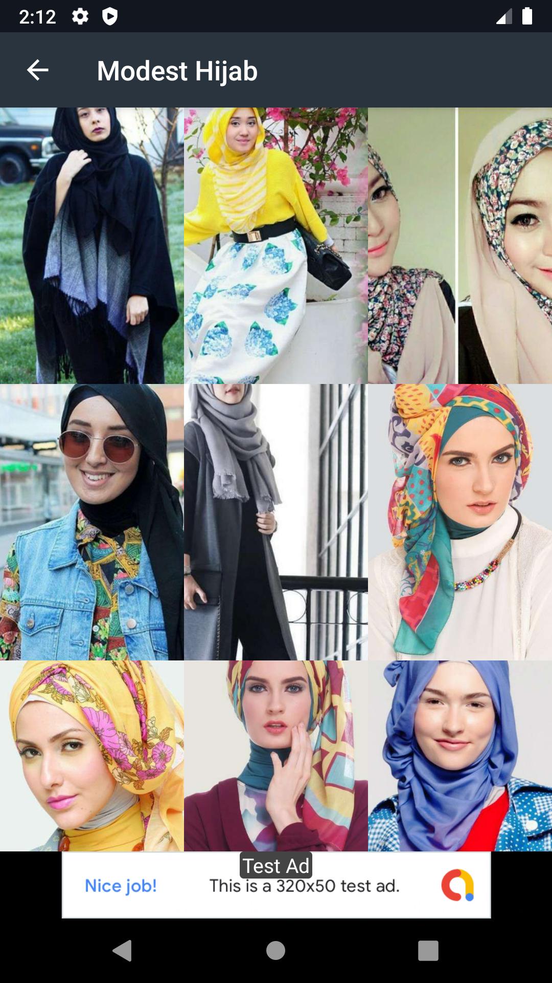 Modest Hijab