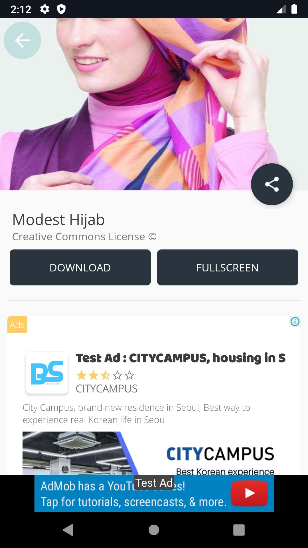 Modest Hijab