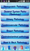 Pathology in Practice USMLE