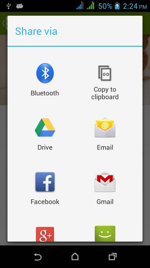 Spicy Appetizers Cookbook Free