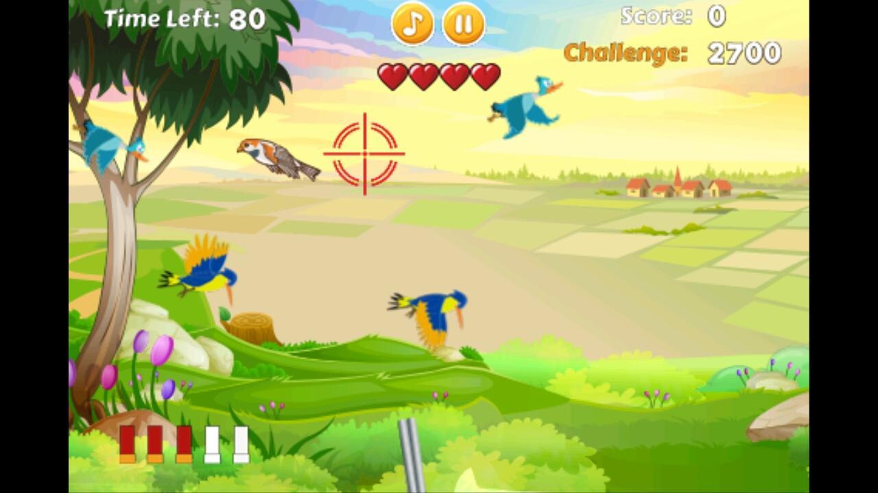 Duck Hunting Madness