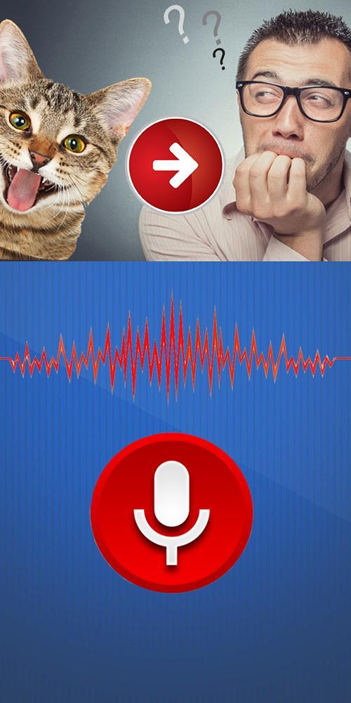 Cat Translator Simulator