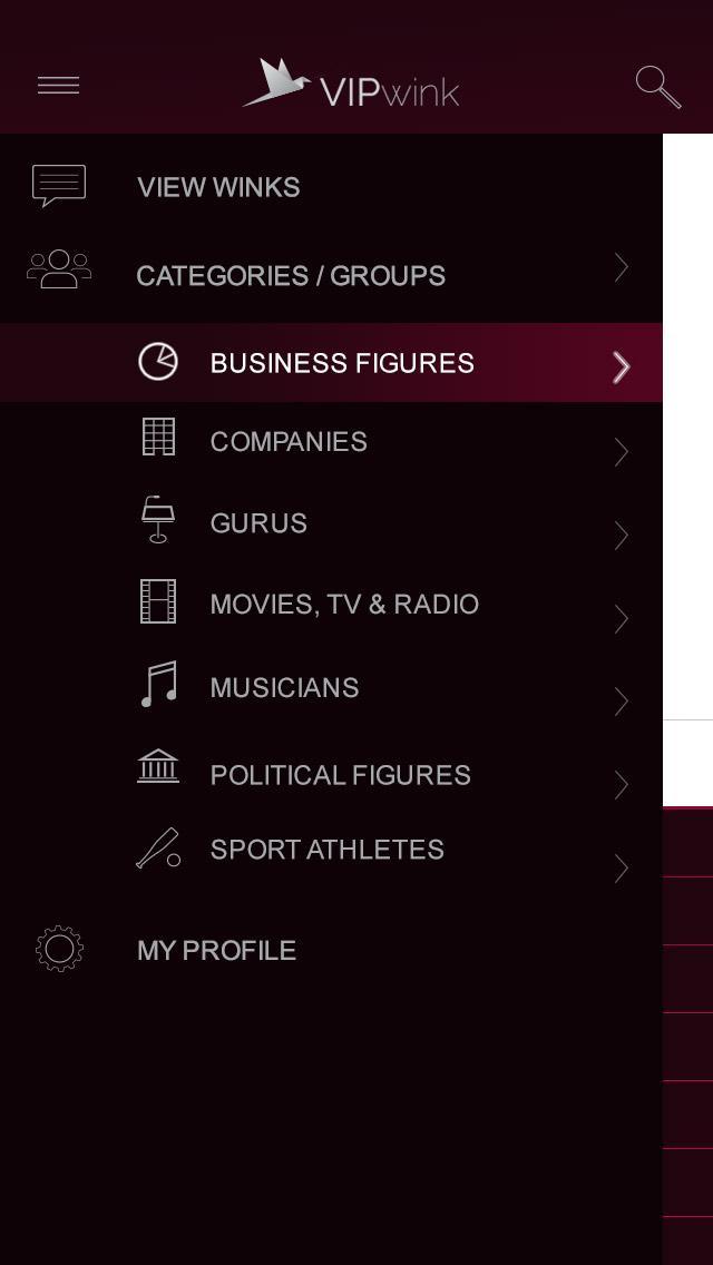 VIP wink Celebrity 1st Access